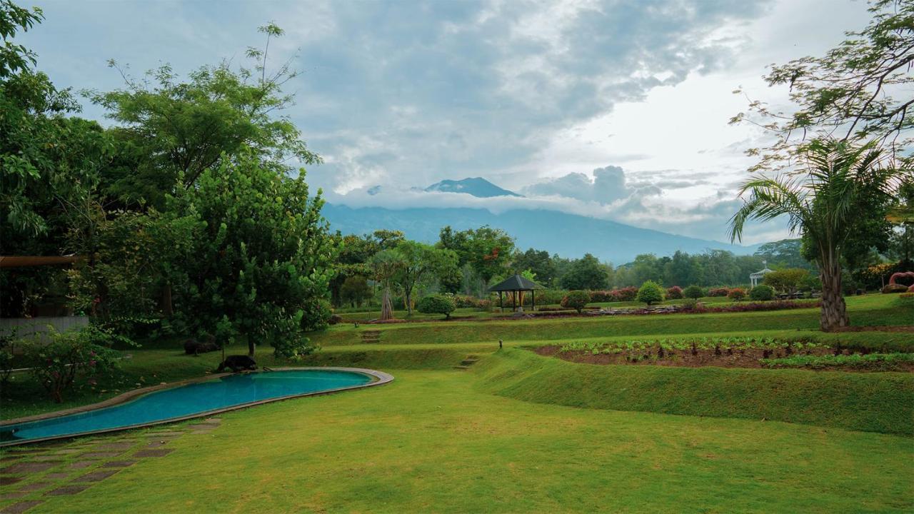 K Gallery Hotel Pasuruan Ngoại thất bức ảnh